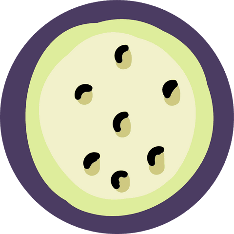 Colorful abstract motif with beans on transparent background