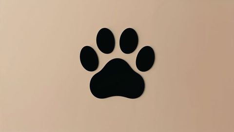 Minimalist black paw print on soft beige background
