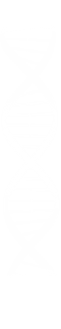 transparent molecular dna helix digital illustration - Download Free Stock Videos Pikwizard.com