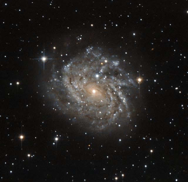 This stunning image captures the face-on view of the spiral galaxy LEDA 89996, located in the constellation Dorado. The galaxy's spiral arms, rich with dust and gas, are the cradles of new stars, giving the arms a bright, bluish appearance. This detailed observation was made using Hubble’s Advanced Camera for Surveys. Ideal for educational materials, space exploration articles, and astronomy-related projects.