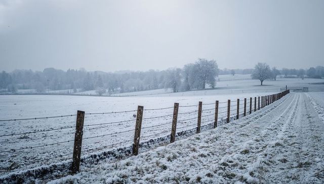 Rustic wooden fence running across snow-covered pasture with misty winter trees and farm lane