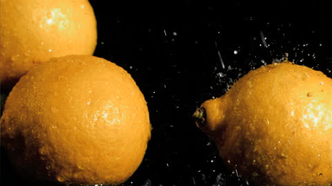 Fresh Lemons Splashed with Water on Black Background
