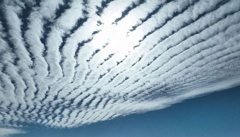 Rippling altocumulus waves stretching across bright blue sky creating halo striped undulatus