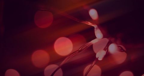enchanting red bokeh string lights with soft glow - Download Free Stock Images Pikwizard.com