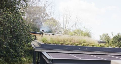 Contemporary green roof with ornamental grasses and metal flue emitting thin smoke
