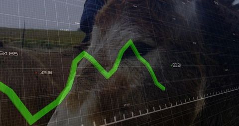 Overlaying Equine Performance Analytics on Horse and Rider with Green Line Graph