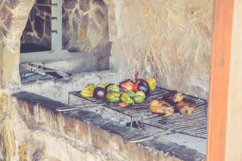 Grilling Rustic Mediterranean Vegetables on Stone Oven Grill for Backyard Summer Barbecue