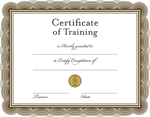 certificate of training with seal on transparent background - Download Free Stock Videos Pikwizard.com