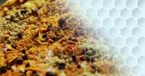Honeycomb overlay on vibrant turmeric and seeds spice blend macro closeup for culinary design