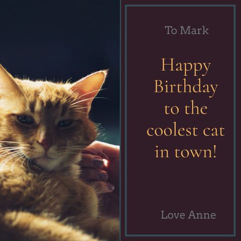Birthday Wishes with Relaxed Ginger Cat and Personal Message - Download Free Stock Templates Pikwizard.com