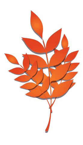 transparent orange leaf branch gradient design on clear background - Download Free Stock Videos Pikwizard.com