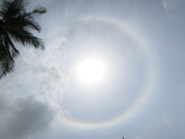 Bright sun creating a distinct rainbow halo surrounded by light clouds with a palm tree in the corner. Useful for illustrating meteorological phenomena, tropical weather conditions, and nature in general. Ideal for use in educational materials, travel publications, climate change topics, and natural beauty showcases.