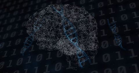Digital DNA and Human Brain Integration Concept