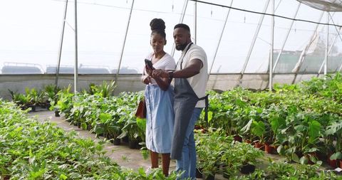 Colleagues Checking Smartphone Greenhouse Plants