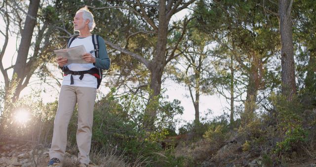 Senior Man Hiking in Forest and Reading Map - Download Free Stock Images Pikwizard.com