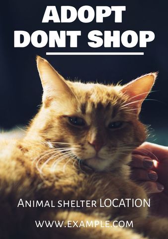 Promoting Pet Adoption with Loving Cat in Human Company - Download Free Stock Templates Pikwizard.com