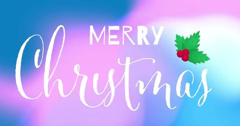 Merry Christmas Text with Holly on Vibrant Background