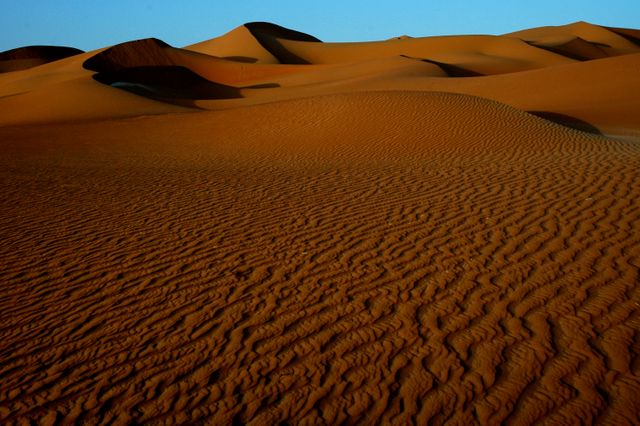 Expansive view of sand dunes with distinct ripples, bathed in warm sunset light under a clear blue sky. Excellent for use in travel promotions, nature documentaries, backgrounds, or environmental awareness campaigns.