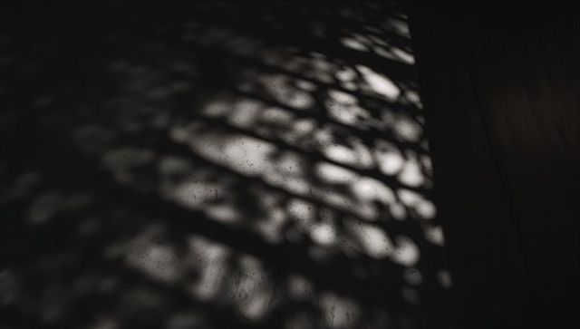 Banded window shadows casting dappled pattern on wooden floor with visible dust particles