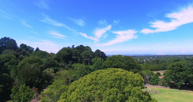View of beautiful park on a sunny day 4k