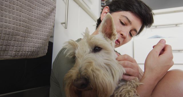 Caucasian woman kissing her dog sitting in the kitchen at home - Download Free Stock Photos Pikwizard.com