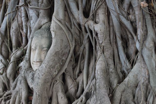 Ancient Buddha Head Surrounded by Tree Roots in Thailand - Download Free Stock Photos Pikwizard.com