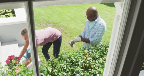 Senior Couple Gardening Together Joyfully Outdoor Activity