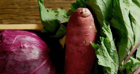 Close-Up of Purple Cabbage and Sweet Potato with Green Leaves - Download Free Stock Images Pikwizard.com