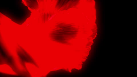 Dynamic Red Shapes on Black Background