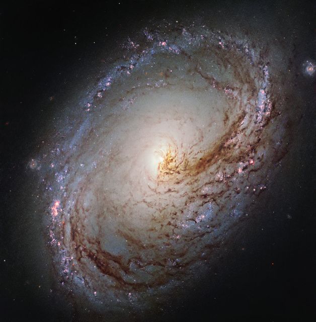This NASA/ESA Hubble Space Telescope image shows Messier 96, a spiral galaxy just over 35 million light-years away in the constellation of Leo (The Lion). It is of about the same mass and size as the Milky Way. It was first discovered by astronomer Pierre Méchain in 1781, and added to Charles Messier’s famous catalogue of astronomical objects just four days later.  The galaxy resembles a giant maelstrom of glowing gas, rippled with dark dust that swirls inwards towards the nucleus. Messier 96 is a very asymmetric galaxy; its dust and gas are unevenly spread throughout its weak spiral arms, and its core is not exactly at the galactic center. Its arms are also asymmetrical, thought to have been influenced by the gravitational pull of other galaxies within the same group as Messier 96.  This group, named the M96 Group, also includes the bright galaxies Messier 105 and Messier 95, as well as a number of smaller and fainter galaxies. It is the nearest group containing both bright spirals and a bright elliptical galaxy (Messier 105).  Image credit: ESA/Hubble &amp; NASA and the LEGUS Team, Acknowledgement: R. Gendler  <b><a href="http://www.nasa.gov/audience/formedia/features/MP_Photo_Guidelines.html" rel="nofollow">NASA image use policy.</a></b>  <b><a href="http://www.nasa.gov/centers/goddard/home/index.html" rel="nofollow">NASA Goddard Space Flight Center</a></b> enables NASA’s mission through four scientific endeavors: Earth Science, Heliophysics, Solar System Exploration, and Astrophysics. Goddard plays a leading role in NASA’s accomplishments by contributing compelling scientific knowledge to advance the Agency’s mission.  <b>Follow us on <a href="http://twitter.com/NASAGoddardPix" rel="nofollow">Twitter</a></b>  <b>Like us on <a href="http://www.facebook.com/pages/Greenbelt-MD/NASA-Goddard/395013845897?ref=tsd" rel="nofollow">Facebook</a></b>  <b>Find us on <a href="http://instagrid.me/nasagoddard/?vm=grid" rel="nofollow">Instagram</a></b>