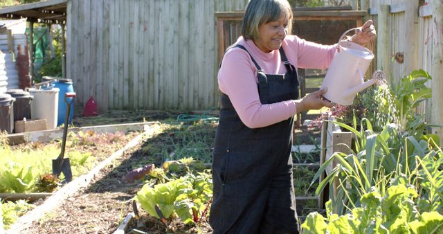 Senior Woman Gardening and Watering Plants in Vegetable Garden - Download Free Stock Images Pikwizard.com