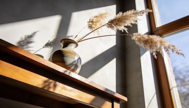 Sunlit glazed ceramic vase with pampas stems casting warm diagonal shadows