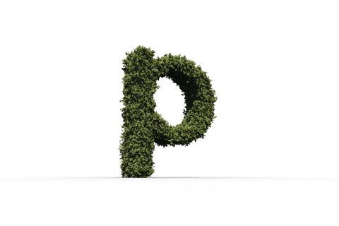 transparent grass-covered letter p isolated design - Download Free Stock Videos Pikwizard.com