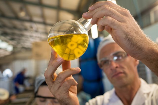 Technician examining olive oil in factory