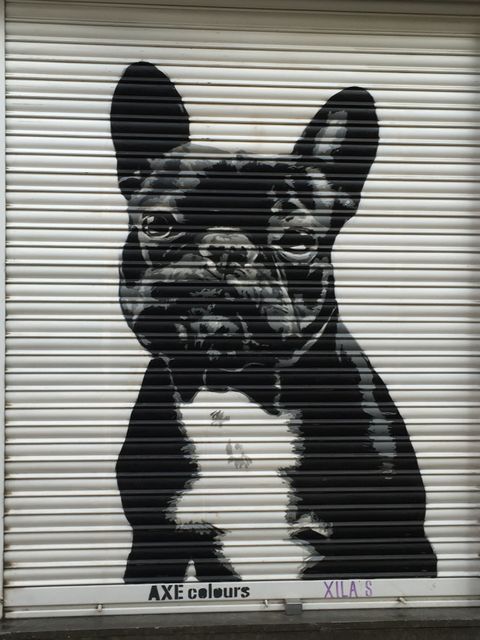Graffiti art on outdoor roller shutter featuring a black and white French Bulldog's portrait. Ideal for urban art studies, pet love themes, contemporary street photography, and city-centered design projects.