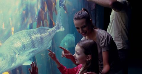 Joyful Mother and Daughter Exploring Aquarium Wonders - Download Free Stock Images Pikwizard.com