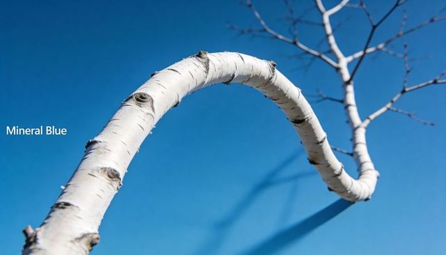 Curving white birch branch against clear mineral blue sky showing peeling bark and knots