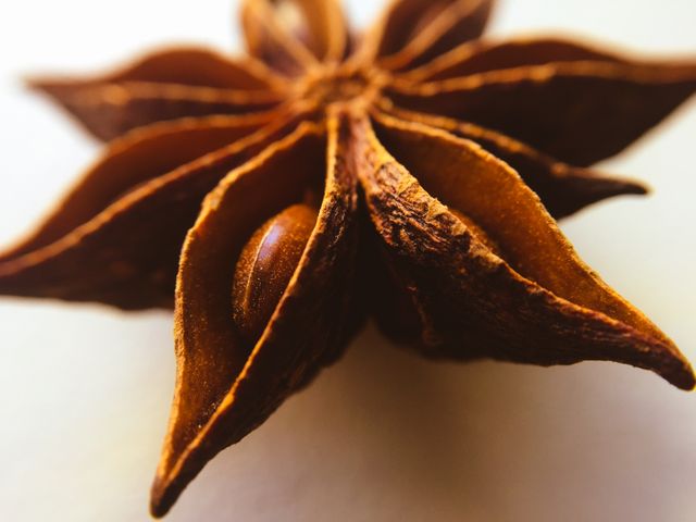 Showing the intricate details of star anise, this image is suitable for food blogs, culinary magazines, and spice promotions. Ideal for emphasizing the natural texture and earthy colors in articles or advertisements related to cooking, herbal remedies, and natural ingredients.