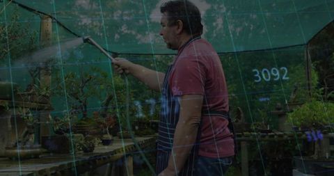 Senior gardener gently watering bonsai in tranquil nursery surroundings