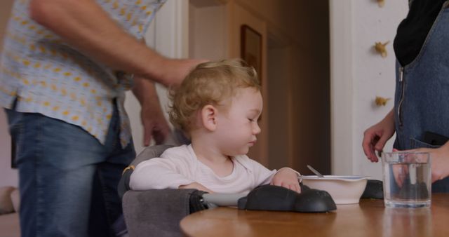 Toddler Sitting in High Chair During Meal Time with Parents - Download Free Stock Images Pikwizard.com