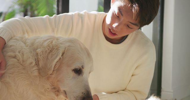 Young man showing affection to his golden retriever indoors. Ideal for use in articles or advertisements related to pet care, companionship, and the bond between humans and their pets.