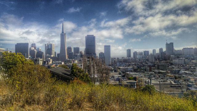 Panoramic view of the San Francisco skyline featuring prominent skyscrapers like the Transamerica Pyramid against a cloudy sky. This urban landscape captures the bustling city with dense buildings and some green foliage in the foreground. Ideal for travel blogs, cityscape photography prints, real estate advertisements, or urban planning posters.
