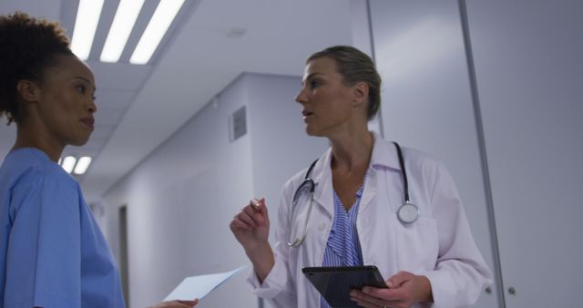 Diverse female doctor and medical worker talking walking in hospital corridor - Download Free Stock Photos Pikwizard.com