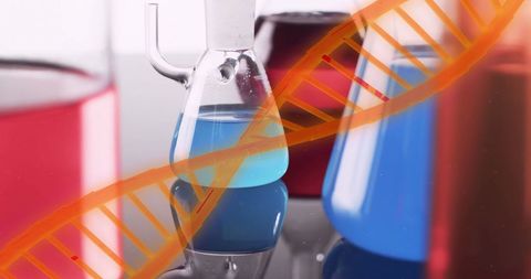 dna strand overlay with laboratory glassware for scientific research - Download Free Stock Images Pikwizard.com