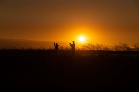 Parent and Child Photographing Sunset Silhouettes at Coastal Marsh Golden Hour