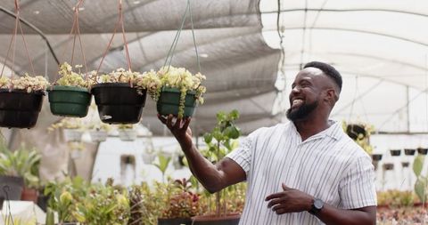 Smiling Man Examining Hanging Succulents in Greenhouse Nursery