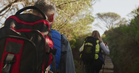 Senior Couple Hiking in Forest with Backpacks and Walking Poles - Download Free Stock Images Pikwizard.com