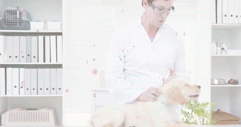Veterinarian examining golden retriever puppy on clinic table, providing gentle care