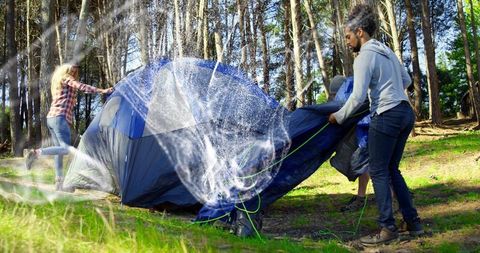Friends erecting blue tent in sunlit pine forest for camping adventure