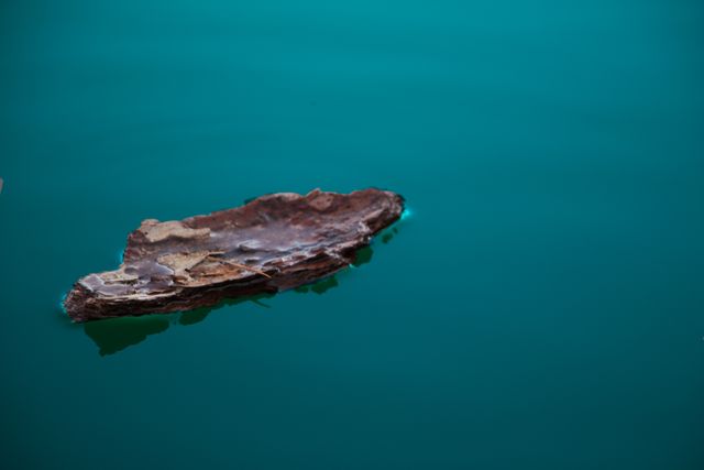 Brown bark floating on tranquil blue water surface, conveying a serene and natural atmosphere. Perfect for themes related to nature, tranquility, simplicity, and peacefulness. Useful for backgrounds, environmental awareness campaigns, and presentations focused on calm and rustic elements.